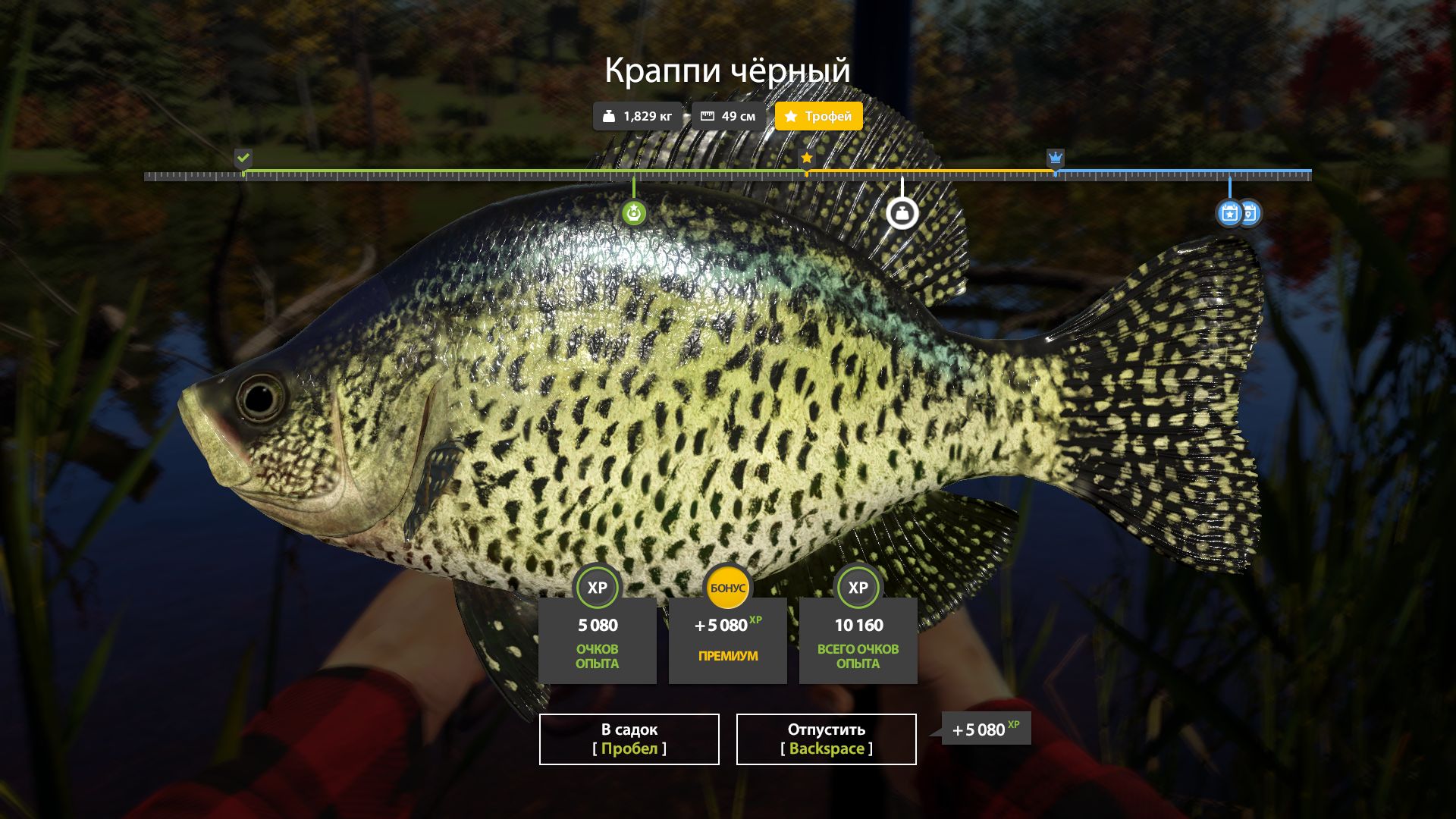 Скриншот точки клева на трофей