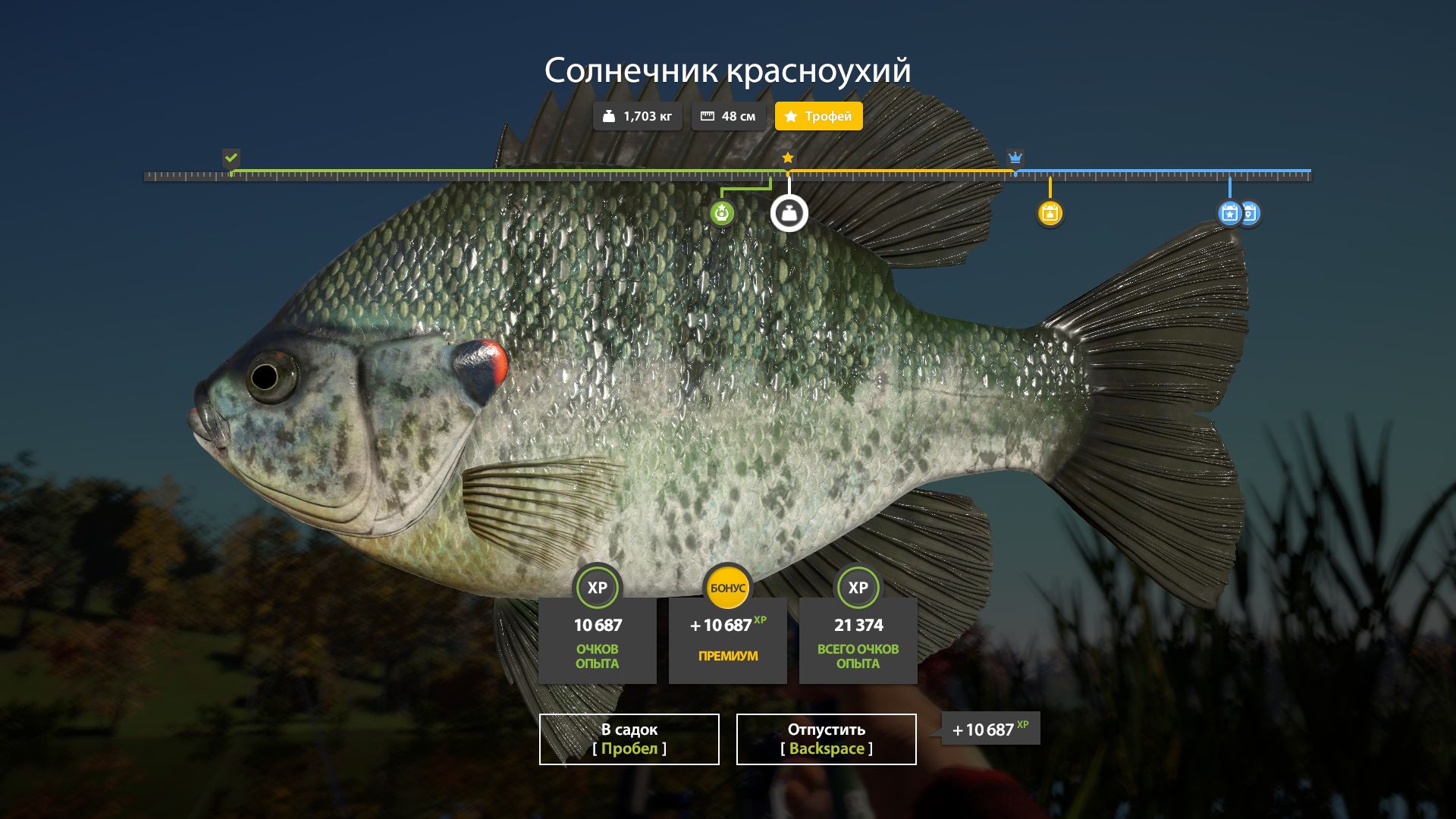 Скриншот точки клева на трофей