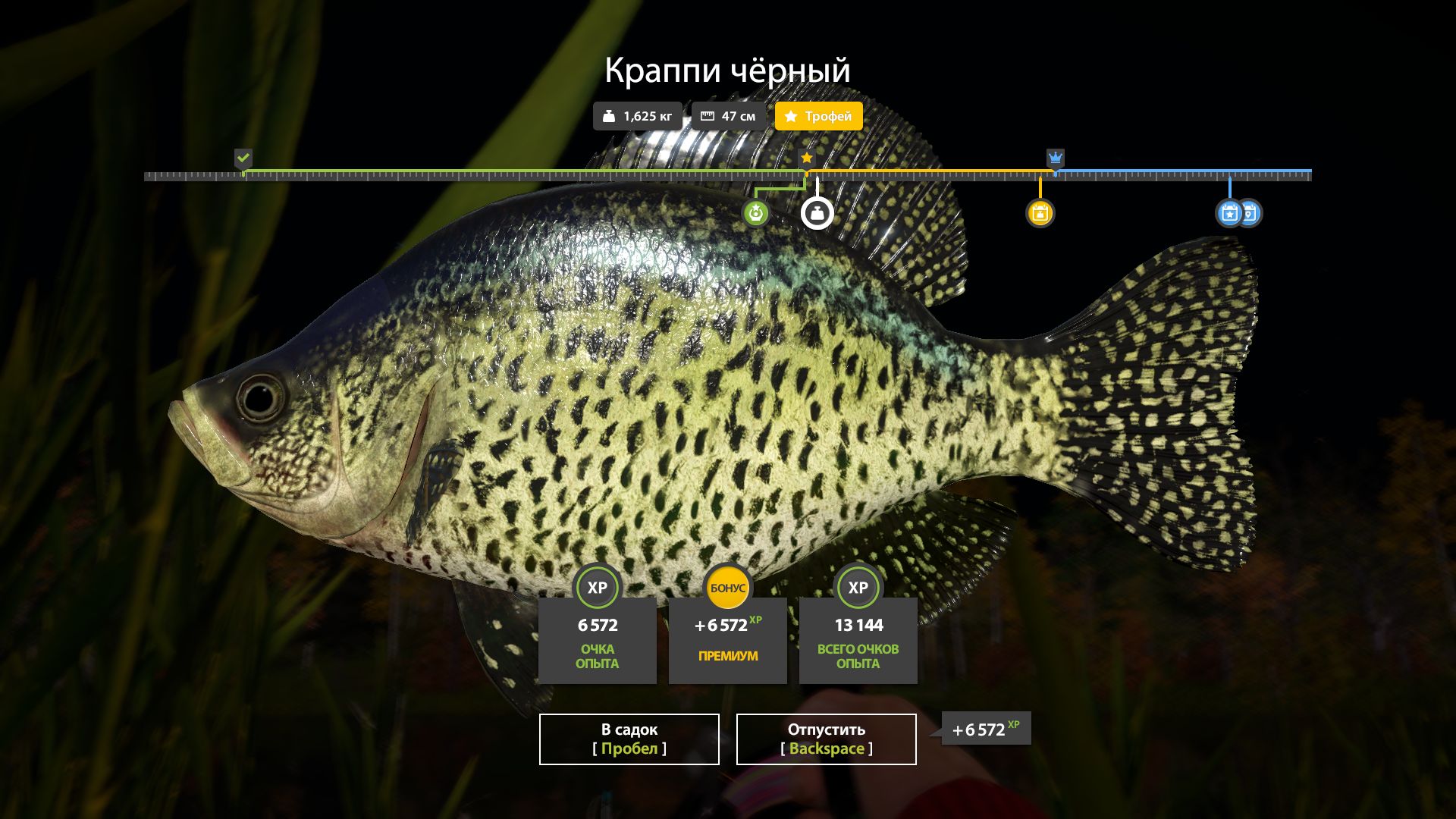 Скриншот точки клева на трофей