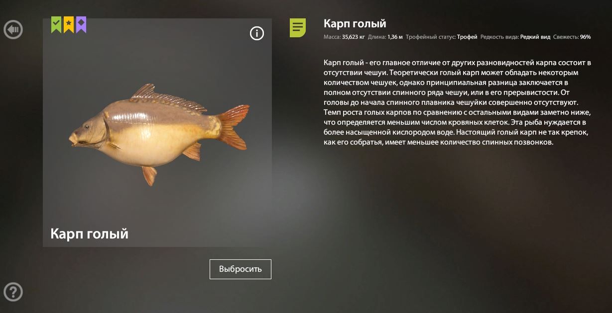 Скриншот точки клева на трофей