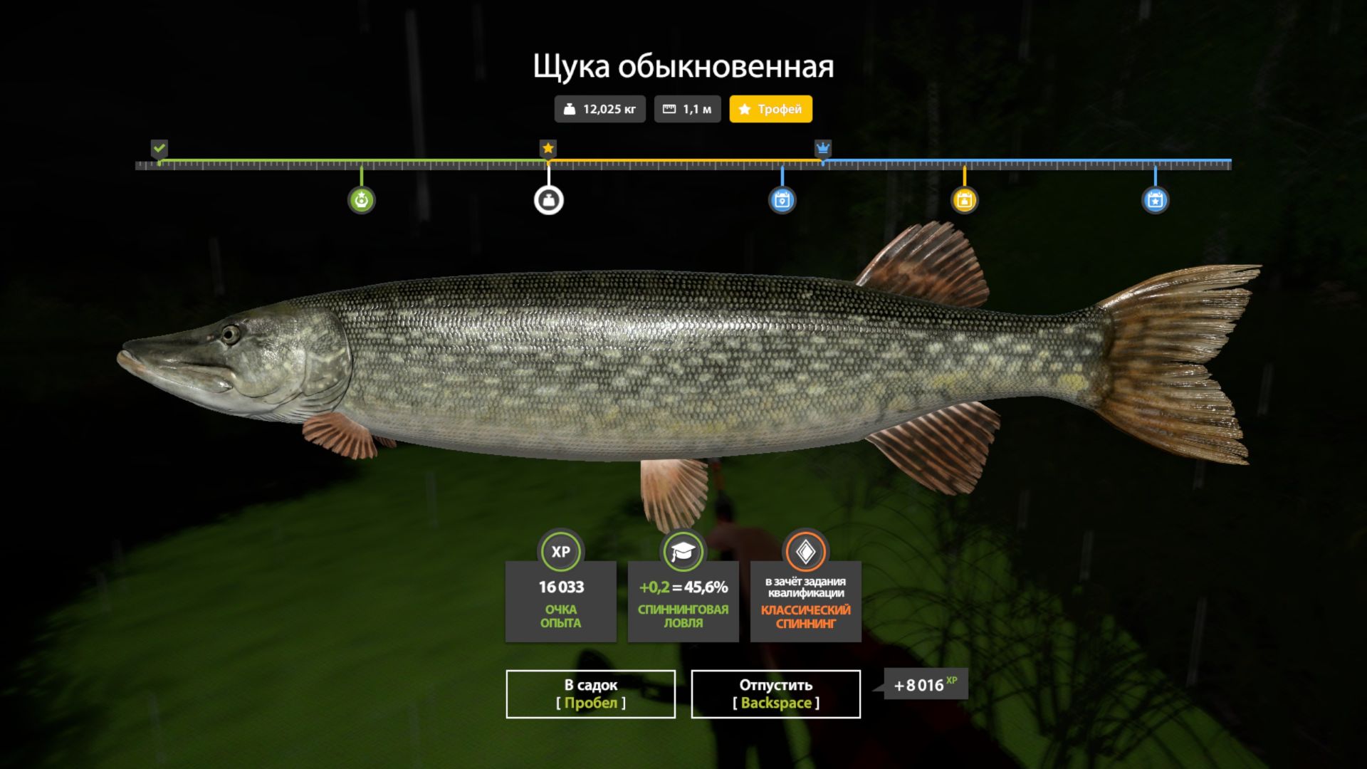 Скриншот точки клева на трофей