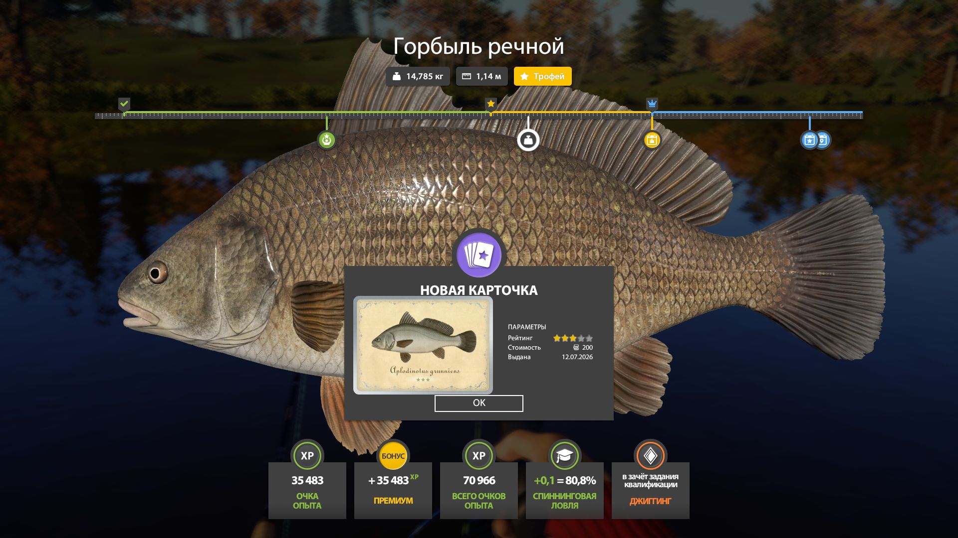 Фото точки