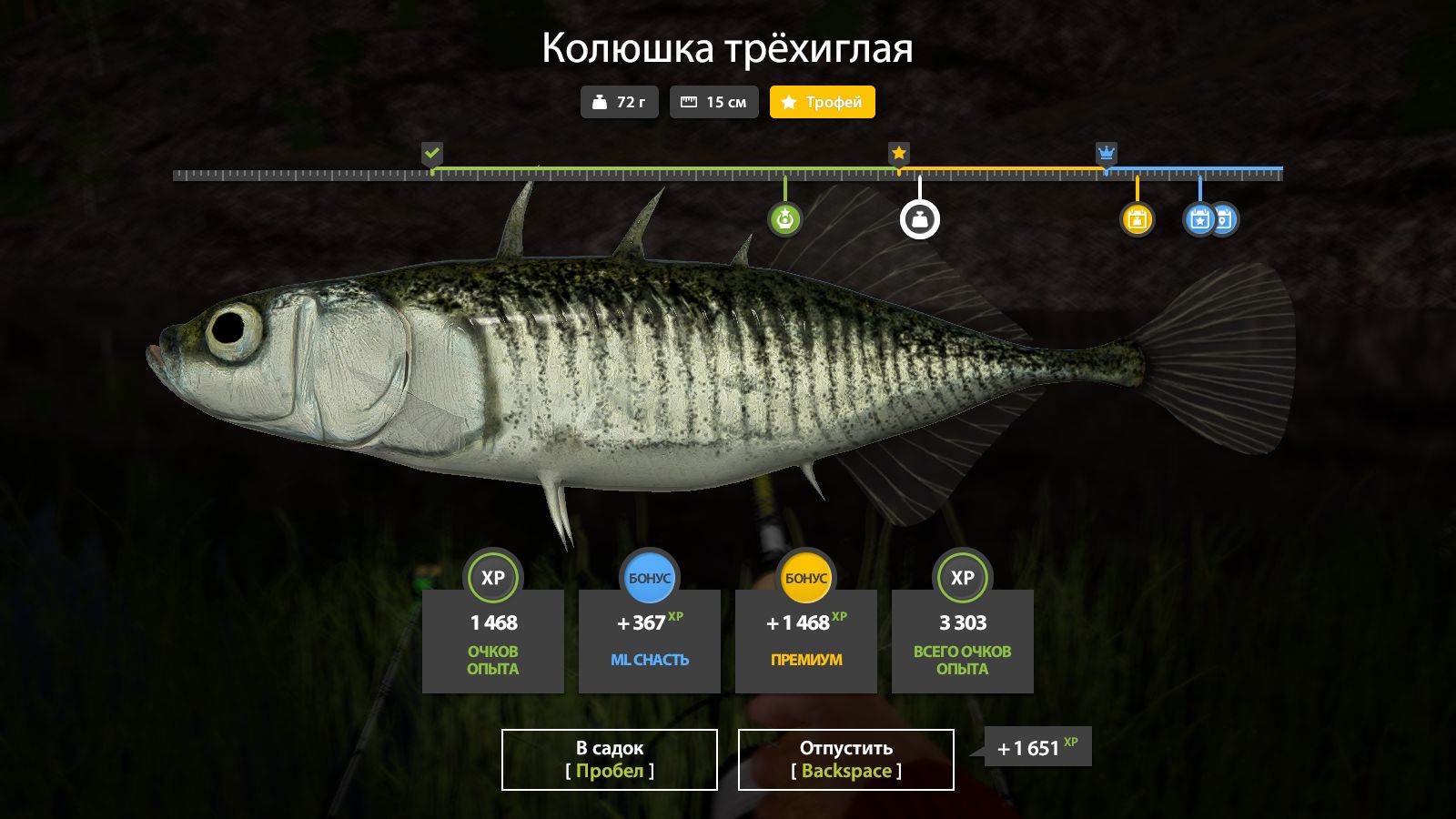 Фото точки